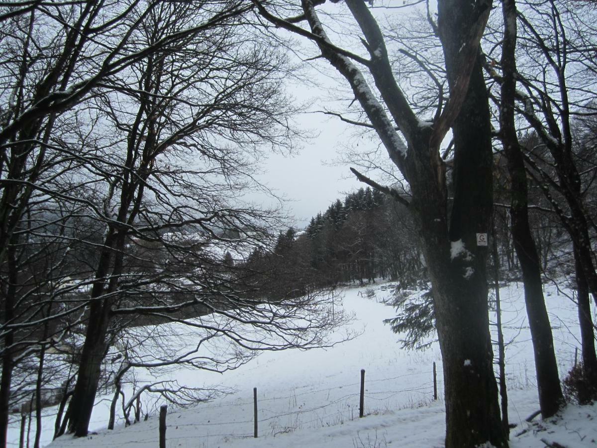 Vulkaneifel