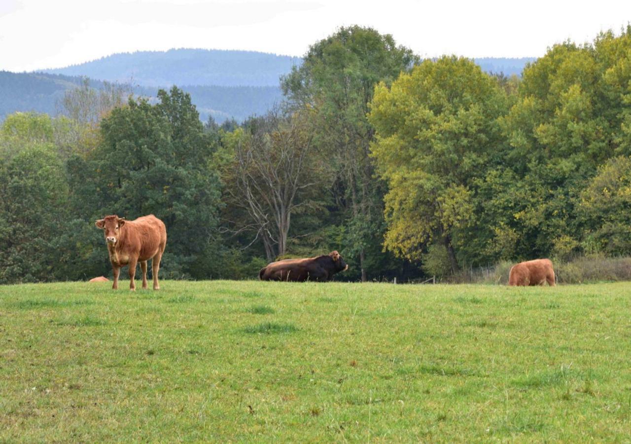 Vulkaneifel Kopp